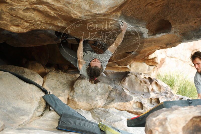 

Filename: SRM_20180108_1704170.jpg
Aperture: f/2.8
Shutter Speed: 1/400
Body: Canon EOS-1D Mark II
Lens: Canon EF 50mm f/1.8 II