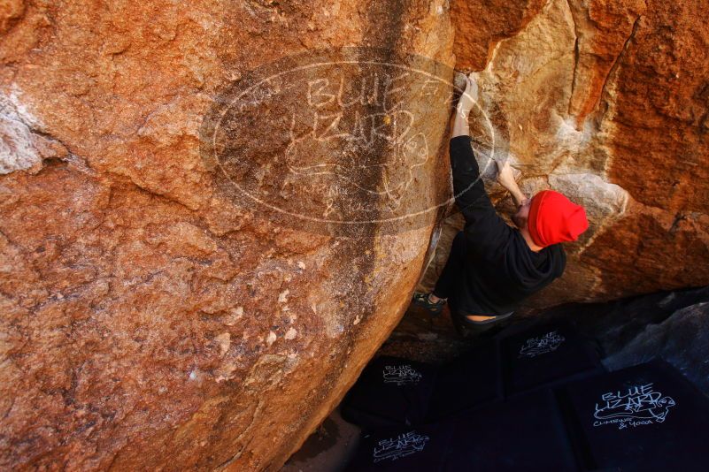 

Filename: SRM_20180111_1042030.jpg
Aperture: f/5.6
Shutter Speed: 1/250
Body: Canon EOS-1D Mark II
Lens: Canon EF 16-35mm f/2.8 L