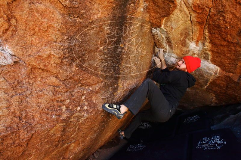 

Filename: SRM_20180111_1044400.jpg
Aperture: f/5.6
Shutter Speed: 1/250
Body: Canon EOS-1D Mark II
Lens: Canon EF 16-35mm f/2.8 L