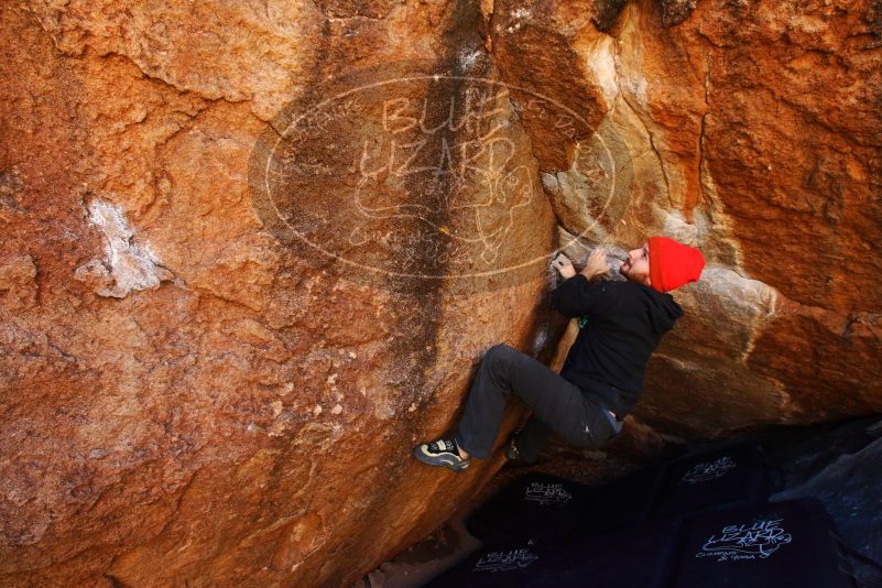

Filename: SRM_20180111_1046250.jpg
Aperture: f/6.3
Shutter Speed: 1/250
Body: Canon EOS-1D Mark II
Lens: Canon EF 16-35mm f/2.8 L