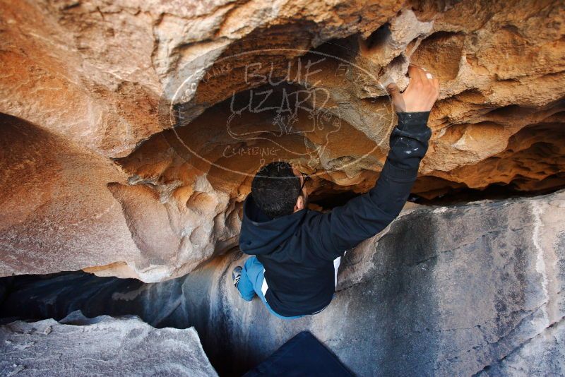 

Filename: SRM_20180128_1158211.jpg
Aperture: f/3.5
Shutter Speed: 1/250
Body: Canon EOS-1D Mark II
Lens: Canon EF 16-35mm f/2.8 L