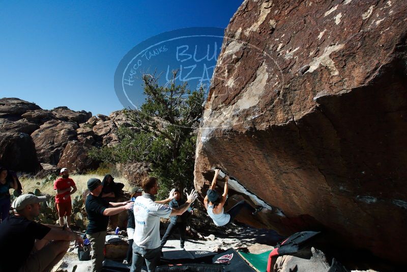 

Filename: SRM_20180127_1204070.jpg
Aperture: f/8.0
Shutter Speed: 1/250
Body: Canon EOS-1D Mark II
Lens: Canon EF 16-35mm f/2.8 L