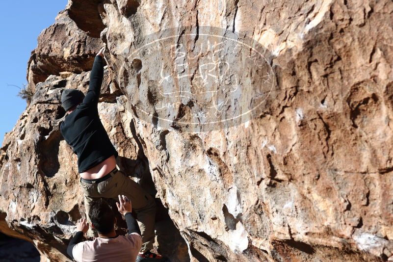 

Filename: SRM_20180127_1046230.jpg
Aperture: f/4.0
Shutter Speed: 1/640
Body: Canon EOS-1D Mark II
Lens: Canon EF 85mm f/1.2 L II