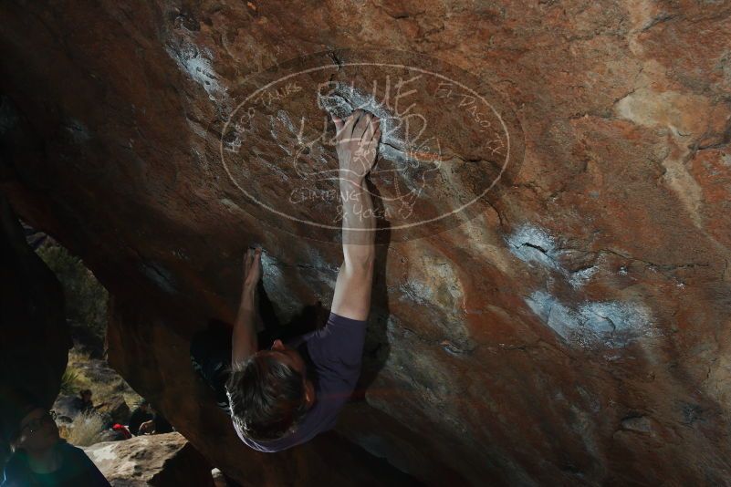 

Filename: SRM_20180127_1303390.jpg
Aperture: f/8.0
Shutter Speed: 1/250
Body: Canon EOS-1D Mark II
Lens: Canon EF 16-35mm f/2.8 L