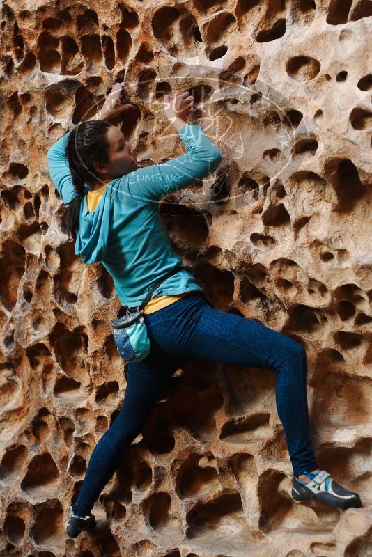 

Filename: SRM_20180126_1547140.jpg
Aperture: f/2.8
Shutter Speed: 1/160
Body: Canon EOS-1D Mark II
Lens: Canon EF 50mm f/1.8 II