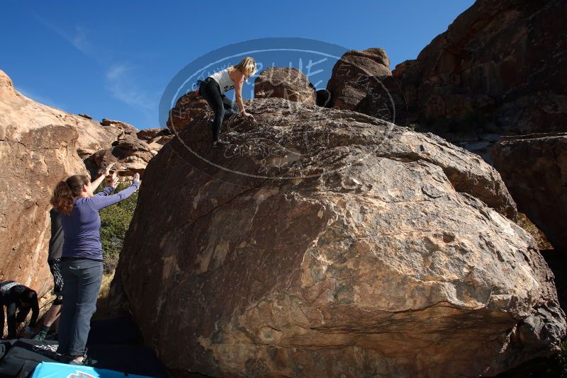 

Filename: SRM_20180204_1206520.jpg
Aperture: f/5.6
Shutter Speed: 1/250
Body: Canon EOS-1D Mark II
Lens: Canon EF 16-35mm f/2.8 L