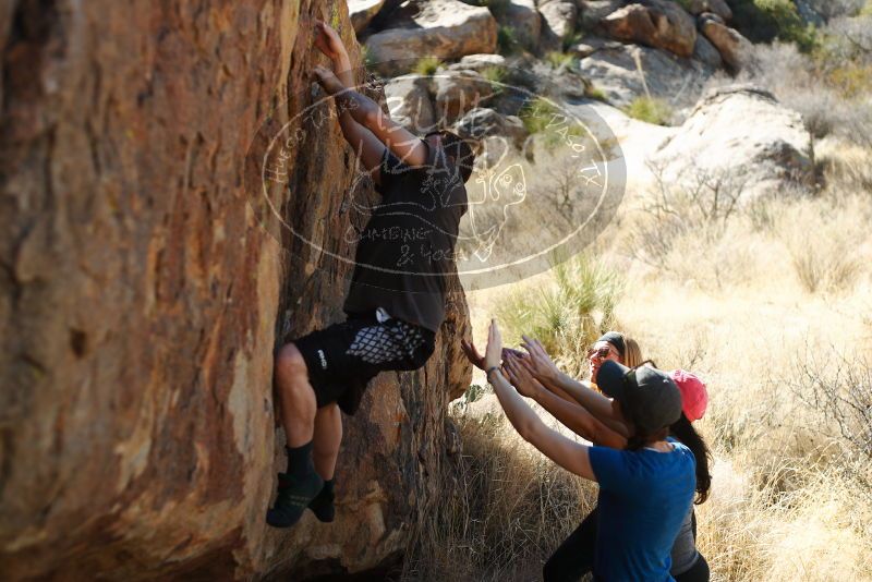 

Filename: SRM_20180204_1403060.jpg
Aperture: f/2.8
Shutter Speed: 1/800
Body: Canon EOS-1D Mark II
Lens: Canon EF 50mm f/1.8 II