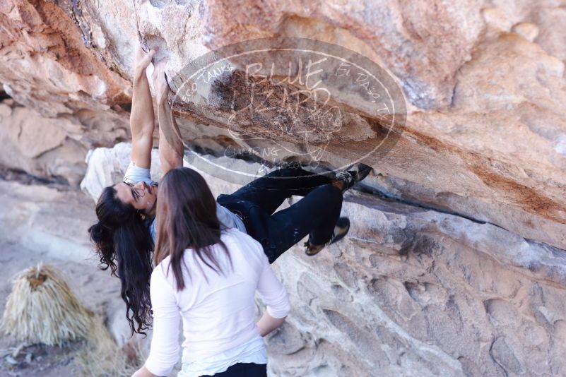 

Filename: SRM_20180209_1103330.jpg
Aperture: f/4.0
Shutter Speed: 1/80
Body: Canon EOS-1D Mark II
Lens: Canon EF 85mm f/1.2 L II