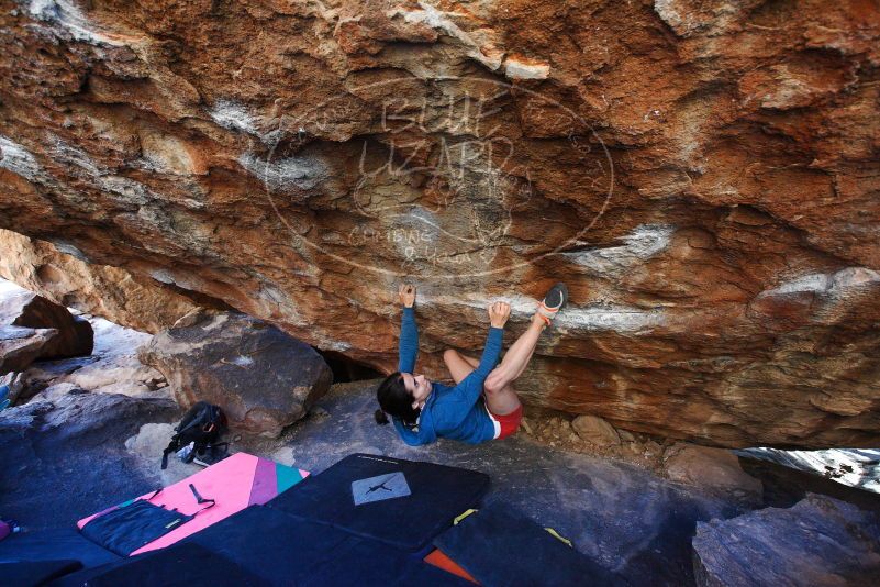 

Filename: SRM_20180209_1736200.jpg
Aperture: f/4.5
Shutter Speed: 1/250
Body: Canon EOS-1D Mark II
Lens: Canon EF 16-35mm f/2.8 L