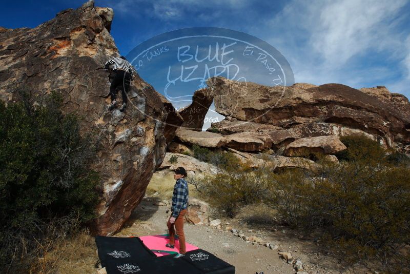 

Filename: SRM_20180210_1106320.jpg
Aperture: f/6.3
Shutter Speed: 1/250
Body: Canon EOS-1D Mark II
Lens: Canon EF 16-35mm f/2.8 L