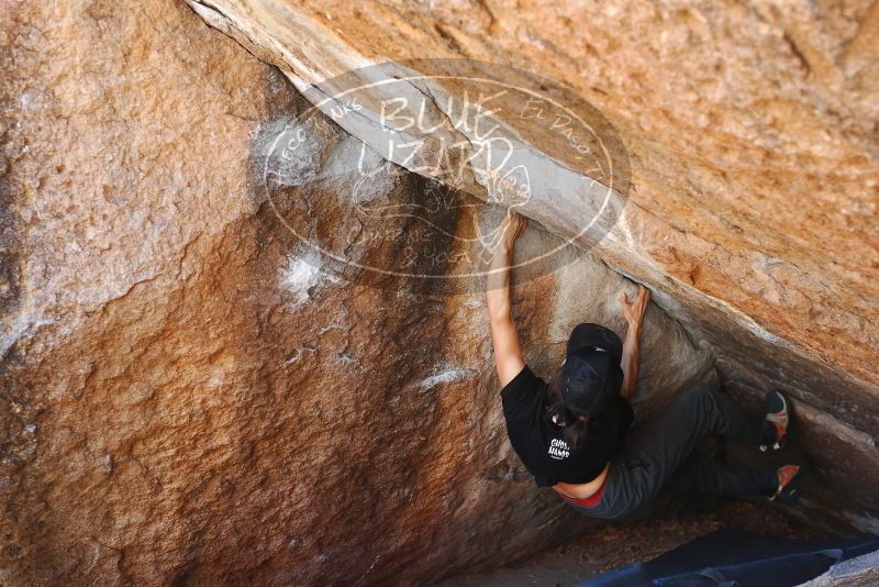 

Filename: SRM_20180210_1132470.jpg
Aperture: f/3.5
Shutter Speed: 1/250
Body: Canon EOS-1D Mark II
Lens: Canon EF 50mm f/1.8 II
