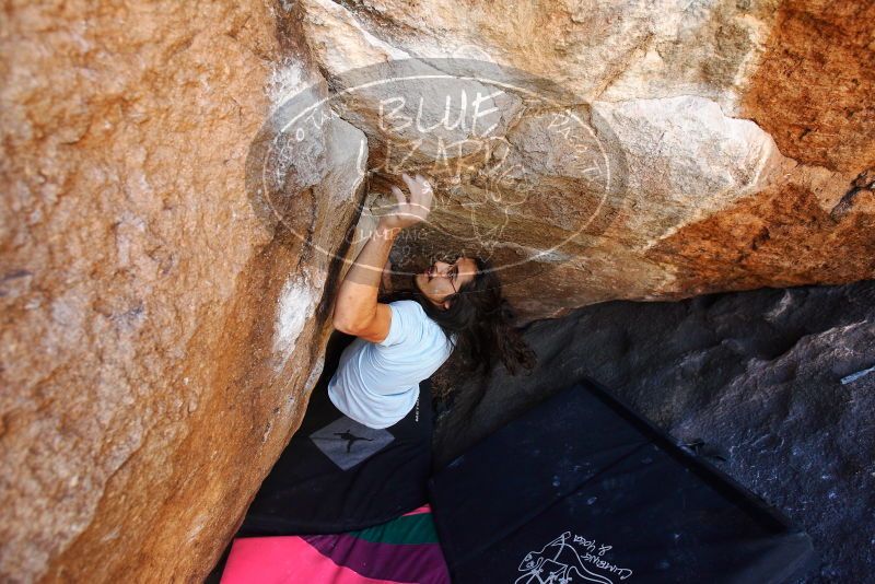 

Filename: SRM_20180210_1218521.jpg
Aperture: f/4.0
Shutter Speed: 1/500
Body: Canon EOS-1D Mark II
Lens: Canon EF 16-35mm f/2.8 L