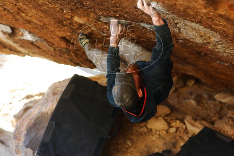 

Filename: SRM_20180224_1802260.jpg
Aperture: f/2.8
Shutter Speed: 1/400
Body: Canon EOS-1D Mark II
Lens: Canon EF 85mm f/1.2 L II