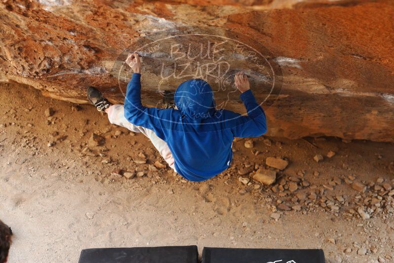 

Filename: SRM_20180223_1328260.jpg
Aperture: f/3.2
Shutter Speed: 1/320
Body: Canon EOS-1D Mark II
Lens: Canon EF 50mm f/1.8 II