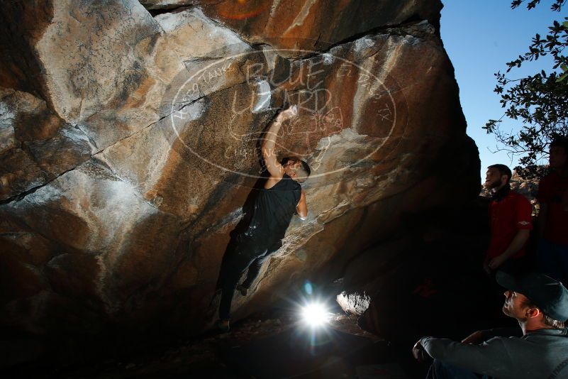 

Filename: SRM_20180223_1734170.jpg
Aperture: f/8.0
Shutter Speed: 1/250
Body: Canon EOS-1D Mark II
Lens: Canon EF 16-35mm f/2.8 L