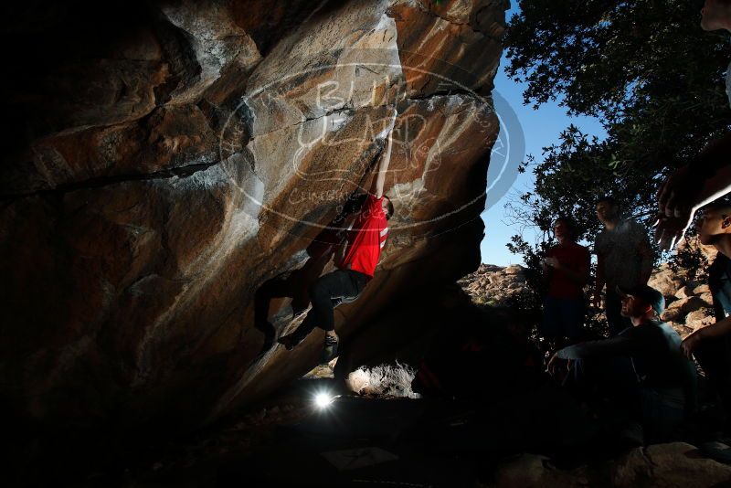 

Filename: SRM_20180223_1734490.jpg
Aperture: f/8.0
Shutter Speed: 1/250
Body: Canon EOS-1D Mark II
Lens: Canon EF 16-35mm f/2.8 L