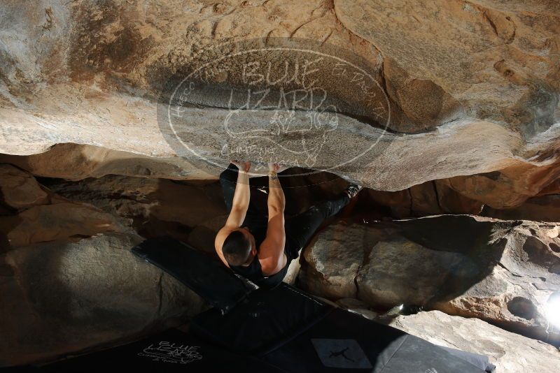 

Filename: SRM_20180225_1100150.jpg
Aperture: f/8.0
Shutter Speed: 1/250
Body: Canon EOS-1D Mark II
Lens: Canon EF 16-35mm f/2.8 L