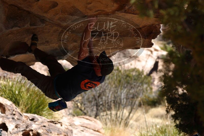 

Filename: SRM_20180225_1231530.jpg
Aperture: f/4.0
Shutter Speed: 1/400
Body: Canon EOS-1D Mark II
Lens: Canon EF 85mm f/1.2 L II