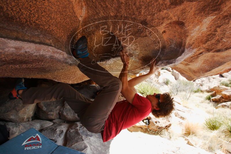 

Filename: SRM_20180310_1157330.jpg
Aperture: f/5.6
Shutter Speed: 1/800
Body: Canon EOS-1D Mark II
Lens: Canon EF 16-35mm f/2.8 L