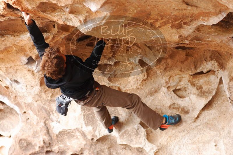 

Filename: SRM_20180310_1416171.jpg
Aperture: f/2.8
Shutter Speed: 1/200
Body: Canon EOS-1D Mark II
Lens: Canon EF 85mm f/1.2 L II