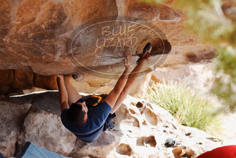 

Filename: SRM_20180310_1116320.jpg
Aperture: f/4.0
Shutter Speed: 1/800
Body: Canon EOS-1D Mark II
Lens: Canon EF 85mm f/1.2 L II