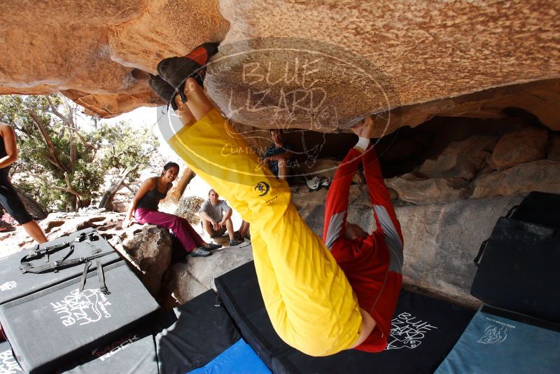 

Filename: SRM_20180310_1126000.jpg
Aperture: f/5.6
Shutter Speed: 1/640
Body: Canon EOS-1D Mark II
Lens: Canon EF 16-35mm f/2.8 L
