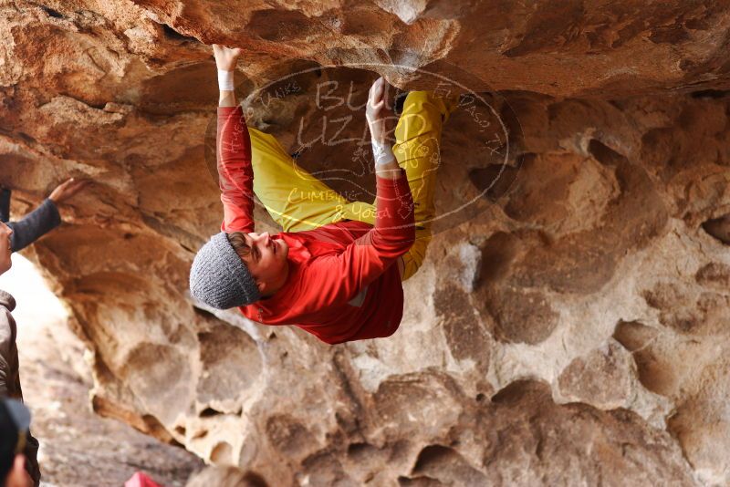 

Filename: SRM_20180310_1423431.jpg
Aperture: f/2.8
Shutter Speed: 1/500
Body: Canon EOS-1D Mark II
Lens: Canon EF 85mm f/1.2 L II