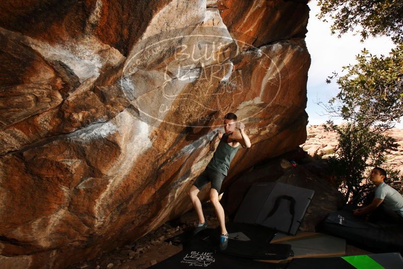 

Filename: SRM_20180313_1342280.jpg
Aperture: f/8.0
Shutter Speed: 1/250
Body: Canon EOS-1D Mark II
Lens: Canon EF 16-35mm f/2.8 L
