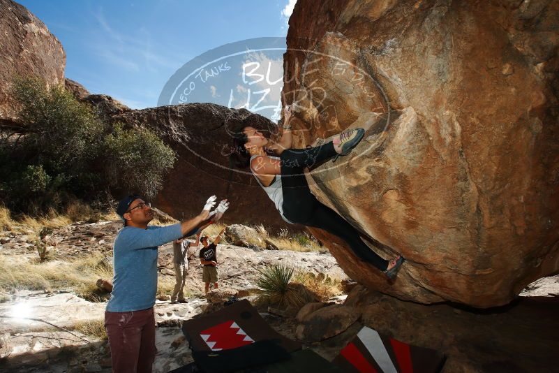 

Filename: SRM_20180317_1610080.jpg
Aperture: f/8.0
Shutter Speed: 1/250
Body: Canon EOS-1D Mark II
Lens: Canon EF 16-35mm f/2.8 L