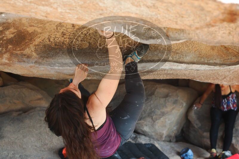 

Filename: SRM_20180317_1052370.jpg
Aperture: f/4.0
Shutter Speed: 1/320
Body: Canon EOS-1D Mark II
Lens: Canon EF 50mm f/1.8 II