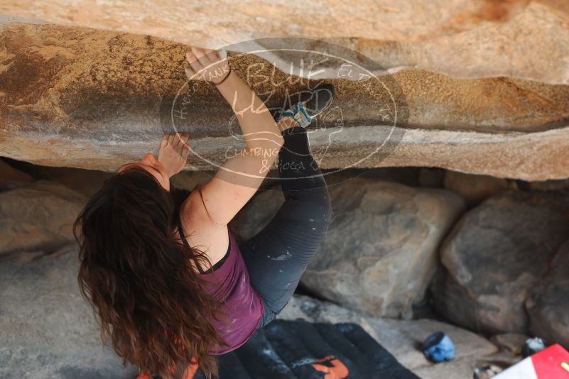 

Filename: SRM_20180317_1052460.jpg
Aperture: f/4.0
Shutter Speed: 1/320
Body: Canon EOS-1D Mark II
Lens: Canon EF 50mm f/1.8 II