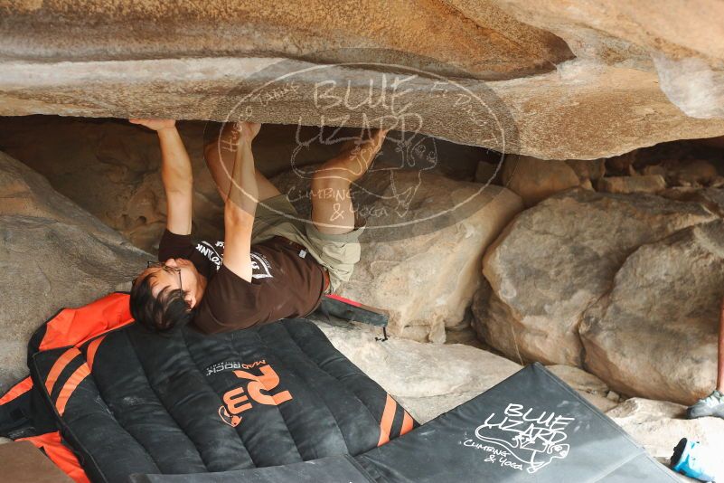 

Filename: SRM_20180317_1016210.jpg
Aperture: f/4.0
Shutter Speed: 1/200
Body: Canon EOS-1D Mark II
Lens: Canon EF 50mm f/1.8 II