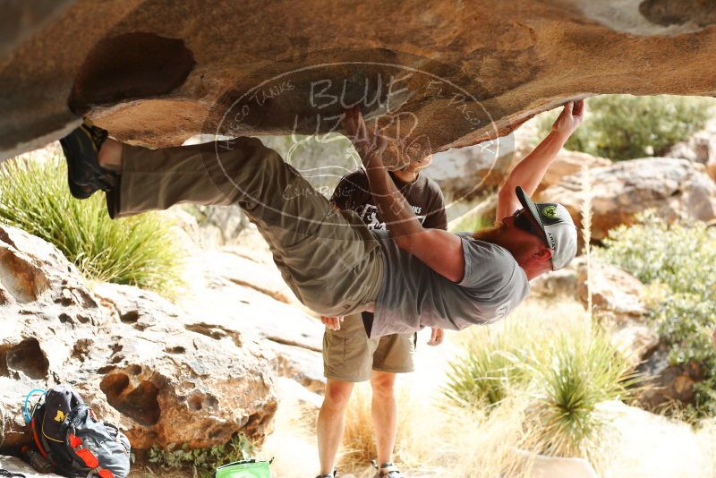 

Filename: SRM_20180317_1029480.jpg
Aperture: f/3.2
Shutter Speed: 1/3200
Body: Canon EOS-1D Mark II
Lens: Canon EF 50mm f/1.8 II