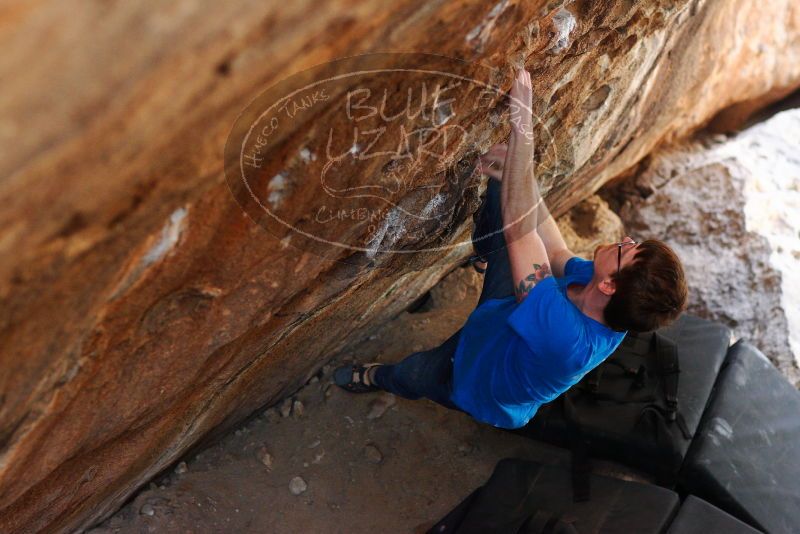 

Filename: SRM_20180315_1418110.jpg
Aperture: f/2.2
Shutter Speed: 1/250
Body: Canon EOS-1D Mark II
Lens: Canon EF 85mm f/1.2 L II