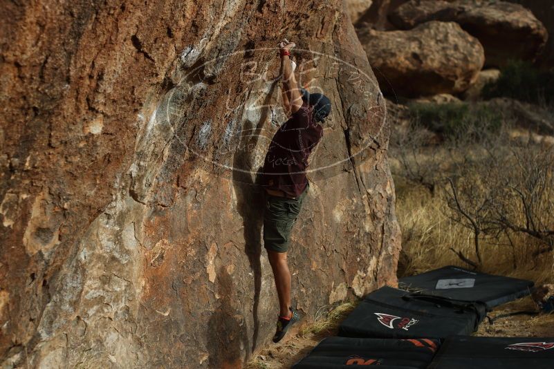 

Filename: SRM_20180315_1723020.jpg
Aperture: f/3.2
Shutter Speed: 1/800
Body: Canon EOS-1D Mark II
Lens: Canon EF 50mm f/1.8 II