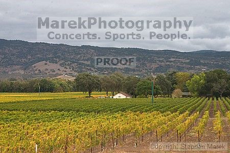 

Filename: crw_2019_std.jpg
Aperture: f/22.0
Shutter Speed: 1/4
Body: Canon EOS DIGITAL REBEL
Lens: Canon EF 50mm f/1.8 II