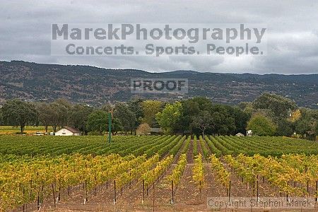 

Filename: crw_2017_std.jpg
Aperture: f/22.0
Shutter Speed: 1/8
Body: Canon EOS DIGITAL REBEL
Lens: Canon EF 50mm f/1.8 II