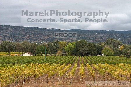 

Filename: crw_2018_std.jpg
Aperture: f/22.0
Shutter Speed: 1/4
Body: Canon EOS DIGITAL REBEL
Lens: Canon EF 50mm f/1.8 II