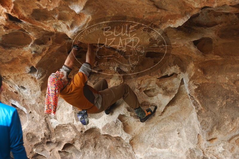 

Filename: SRM_20180312_1451280.jpg
Aperture: f/2.8
Shutter Speed: 1/400
Body: Canon EOS-1D Mark II
Lens: Canon EF 50mm f/1.8 II