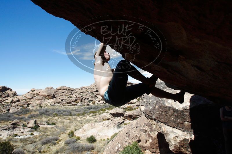 

Filename: SRM_20180329_1347560.jpg
Aperture: f/5.6
Shutter Speed: 1/3200
Body: Canon EOS-1D Mark II
Lens: Canon EF 16-35mm f/2.8 L
