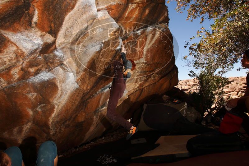 

Filename: SRM_20180329_1421290.jpg
Aperture: f/8.0
Shutter Speed: 1/250
Body: Canon EOS-1D Mark II
Lens: Canon EF 16-35mm f/2.8 L
