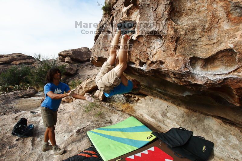 

Filename: SRM_20181019_0939060.jpg
Aperture: f/5.6
Shutter Speed: 1/1250
Body: Canon EOS-1D Mark II
Lens: Canon EF 16-35mm f/2.8 L
