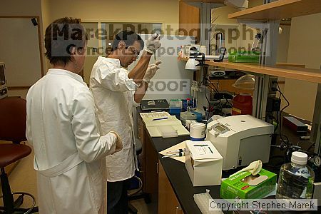 Lilya Matyunina trains new graduate student Masahin Kajita in the Ovarian Cancer Institute lab located in IBB.

Filename: crw_0793_std.jpg
Aperture: f/5.6
Shutter Speed: 1/60
Body: Canon EOS DIGITAL REBEL
Lens: Canon EF-S 18-55mm f/3.5-5.6