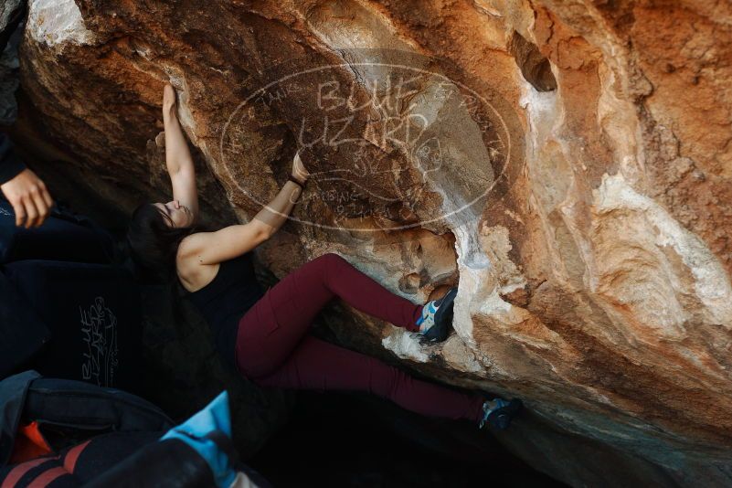 Bouldering in Hueco Tanks on 11/02/2018 with Blue Lizard Climbing and Yoga

Filename: SRM_20181102_1015001.jpg
Aperture: f/4.0
Shutter Speed: 1/250
Body: Canon EOS-1D Mark II
Lens: Canon EF 50mm f/1.8 II