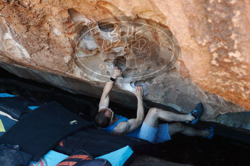 Bouldering in Hueco Tanks on 11/02/2018 with Blue Lizard Climbing and Yoga

Filename: SRM_20181102_1044051.jpg
Aperture: f/4.0
Shutter Speed: 1/320
Body: Canon EOS-1D Mark II
Lens: Canon EF 50mm f/1.8 II
