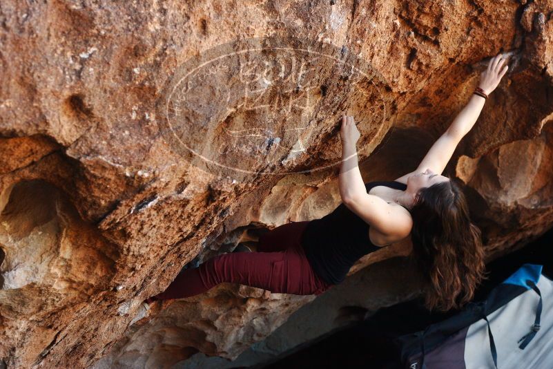 Bouldering in Hueco Tanks on 11/02/2018 with Blue Lizard Climbing and Yoga

Filename: SRM_20181102_1052261.jpg
Aperture: f/4.0
Shutter Speed: 1/320
Body: Canon EOS-1D Mark II
Lens: Canon EF 50mm f/1.8 II