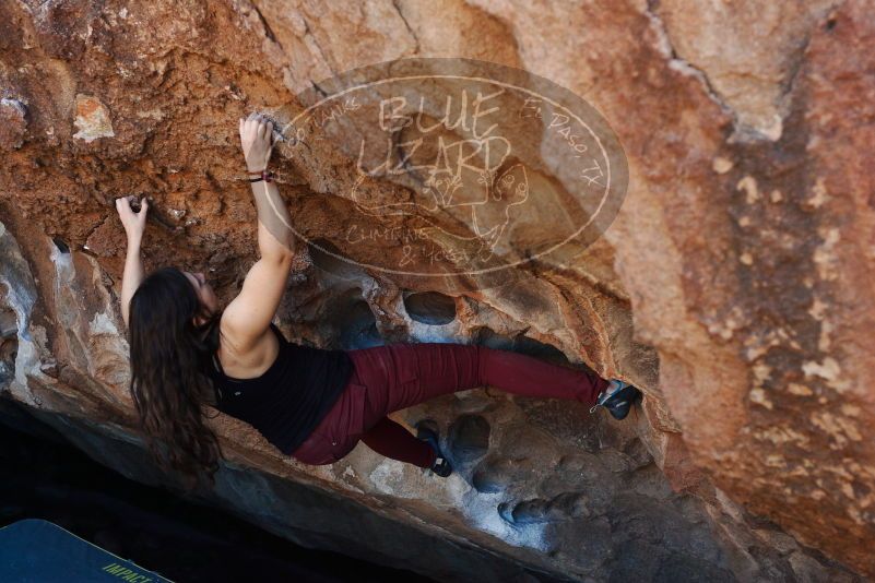 Bouldering in Hueco Tanks on 11/02/2018 with Blue Lizard Climbing and Yoga

Filename: SRM_20181102_1113320.jpg
Aperture: f/4.0
Shutter Speed: 1/400
Body: Canon EOS-1D Mark II
Lens: Canon EF 50mm f/1.8 II