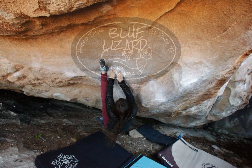 Bouldering in Hueco Tanks on 11/02/2018 with Blue Lizard Climbing and Yoga

Filename: SRM_20181102_1234070.jpg
Aperture: f/4.0
Shutter Speed: 1/200
Body: Canon EOS-1D Mark II
Lens: Canon EF 16-35mm f/2.8 L