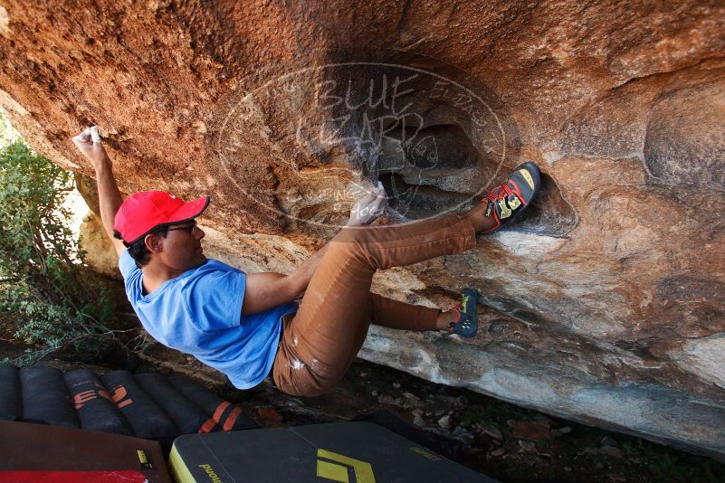 Bouldering in Hueco Tanks on 11/02/2018 with Blue Lizard Climbing and Yoga

Filename: SRM_20181102_1353010.jpg
Aperture: f/4.0
Shutter Speed: 1/320
Body: Canon EOS-1D Mark II
Lens: Canon EF 16-35mm f/2.8 L