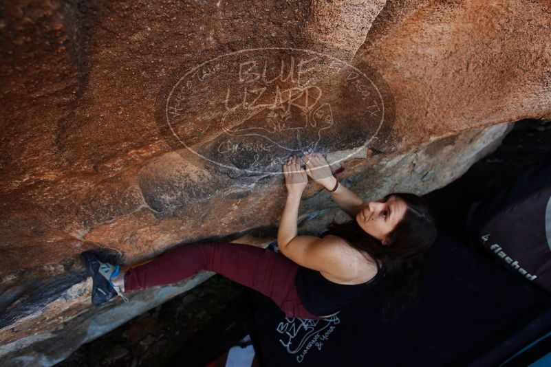 Bouldering in Hueco Tanks on 11/02/2018 with Blue Lizard Climbing and Yoga

Filename: SRM_20181102_1357010.jpg
Aperture: f/4.0
Shutter Speed: 1/250
Body: Canon EOS-1D Mark II
Lens: Canon EF 16-35mm f/2.8 L